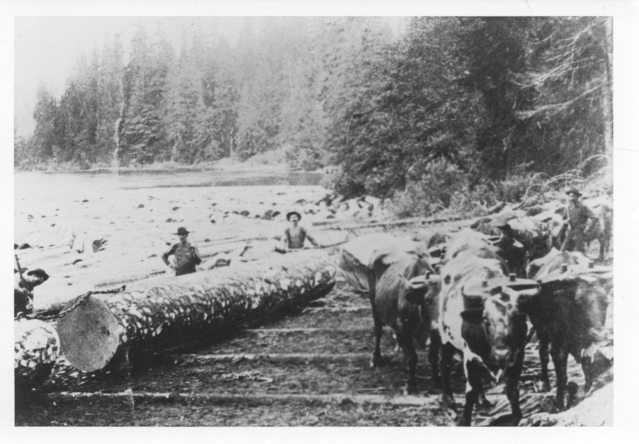 Gibsons History Town of Gibsons