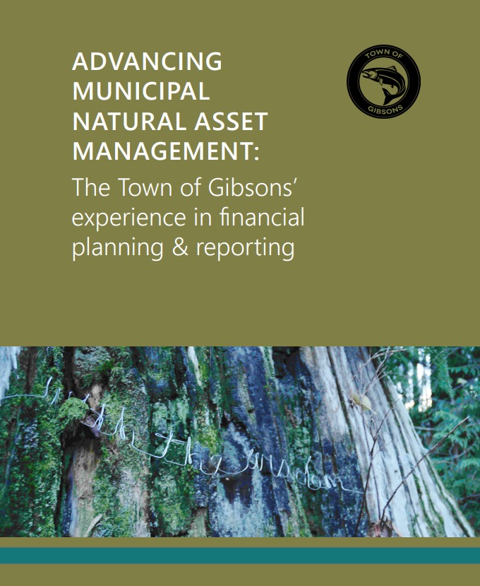 Cover of the 'Advancing Municipal Natural Asset Management' document